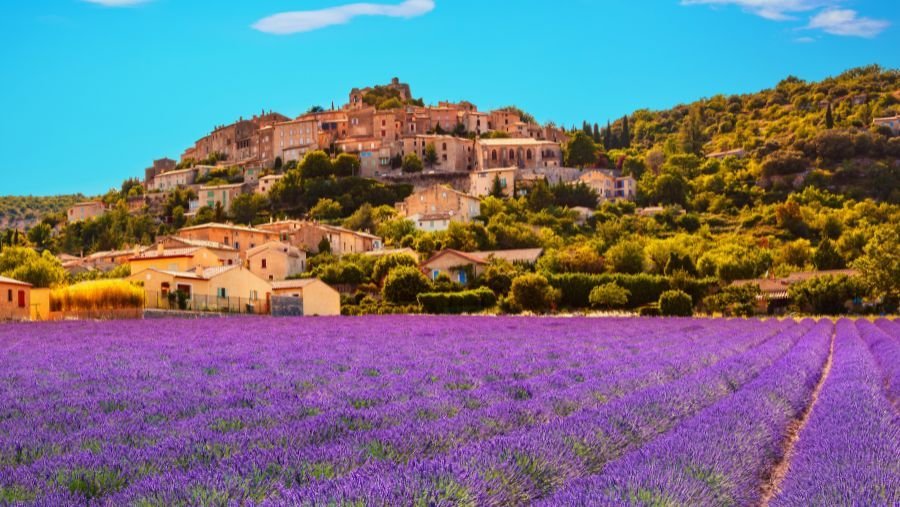 Vacances au camping dans le Luberon avec son chien