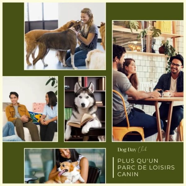 Activités au Dog Day Club à Floirac en Gironde en Nouvelle-Aquitaine