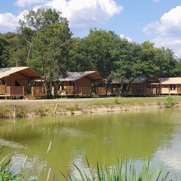 Mobil home au Camping NATURISTE le Petit Arlane à Valensole dans le Alpes-de-Haute-Provence en Provence-Alpes-Côte d'Azur