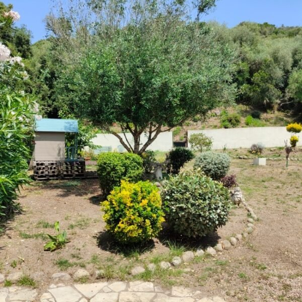 Jardin et plantes chez Le Diodon De Sagone à Vico dans la Corse-du-Sud en Corse