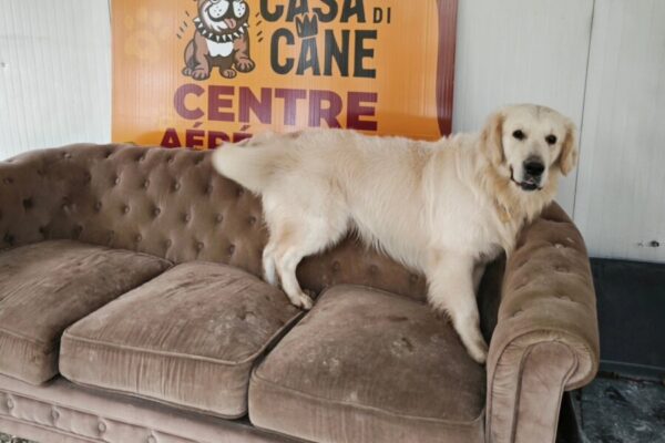 Centre Aéré Canin La Casa Di Cane