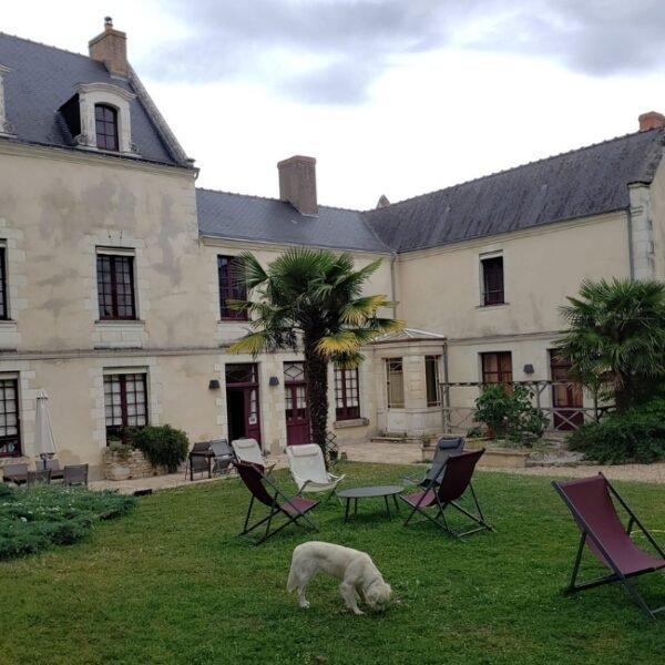 Chiens acceptés au Gîtes de la Maison Aubelle à Montreuil-Bellay dans la Maine-et-Loire en Pays de la Loire