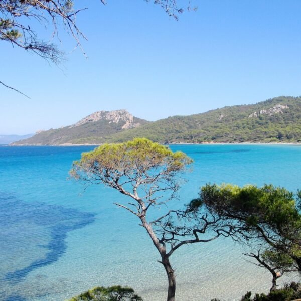 Plage proche du Camping Parc Valrose à Bormes les Mimosas dans le Var en Provence sur la Côte d'Azur