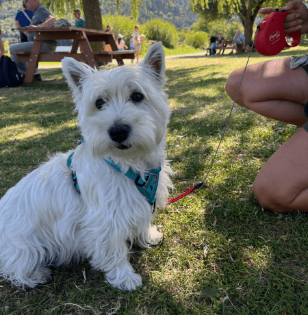 tina, mascotte office de tourisme Massif du Sancy