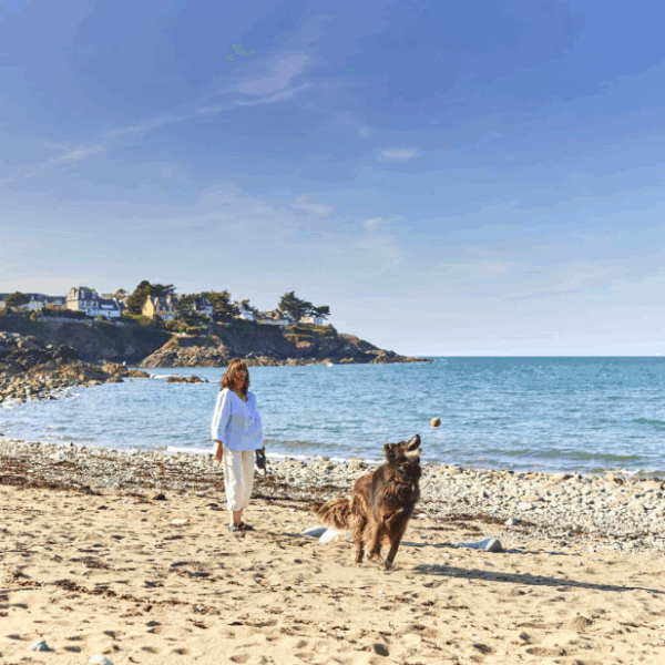 un chien qui joue sur la plage Grève de l'Isnain