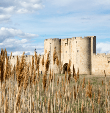remparts d'Aigues-Mortes pas autorisés à la visite avec un chien mais le village est joli à visiter