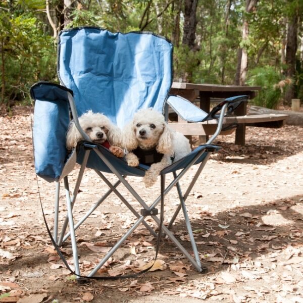Chiens acceptés au Camping la Pinatelle à Saint-Auban dans les Alpes-Maritimes en Provence-Alpes-Côte d'Azur