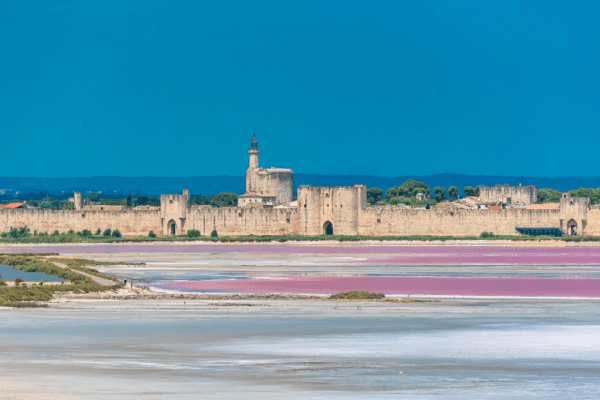 Les visites et villages à voir en Camargue avec votre chien
