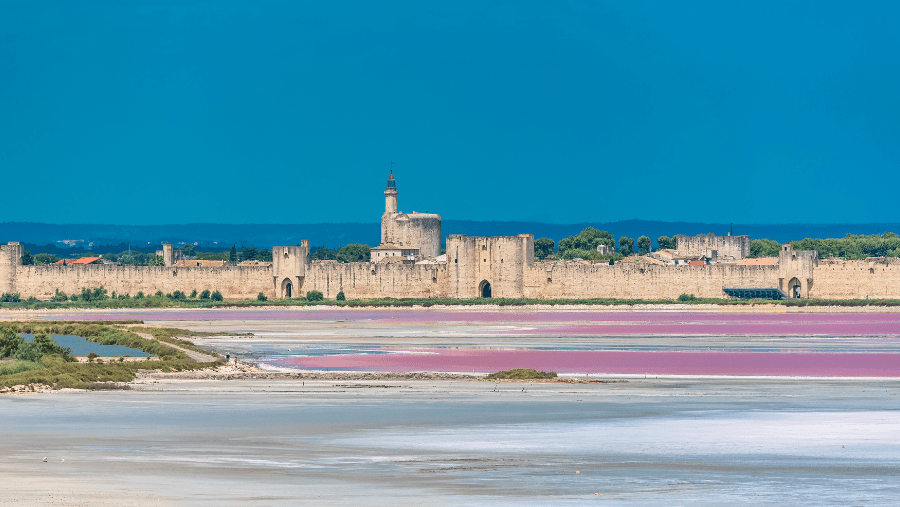 Les visites et villages à voir en Camargue avec votre chien