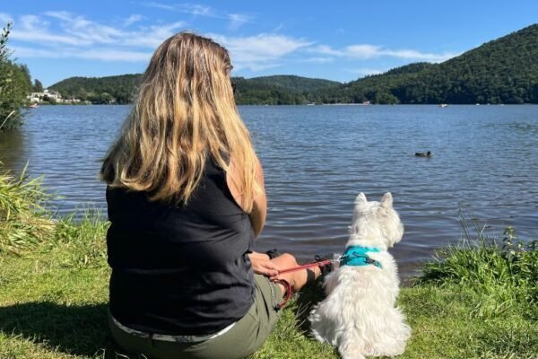🐶 Explorer le Sancy avec son chien : idées de balades et visites