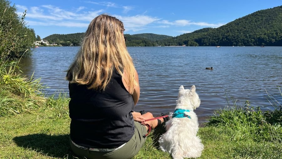 đ¶ Explorer le Sancy avec son chien : idĂ©es de balades et visites