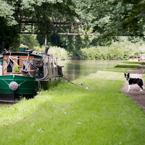 L'Epinoche bateau traditionnel qui accepte les chiens pour l'itinéraire dans le Berry en famille
