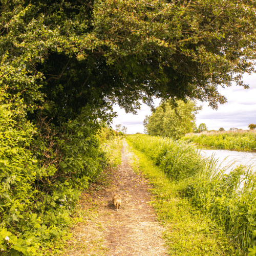 canal de Berry où faire du vélo avec ses enfants et son chien - itinéraire de voyage dog-friendly 7 jours