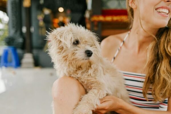 À chaque chien ses vacances idéales