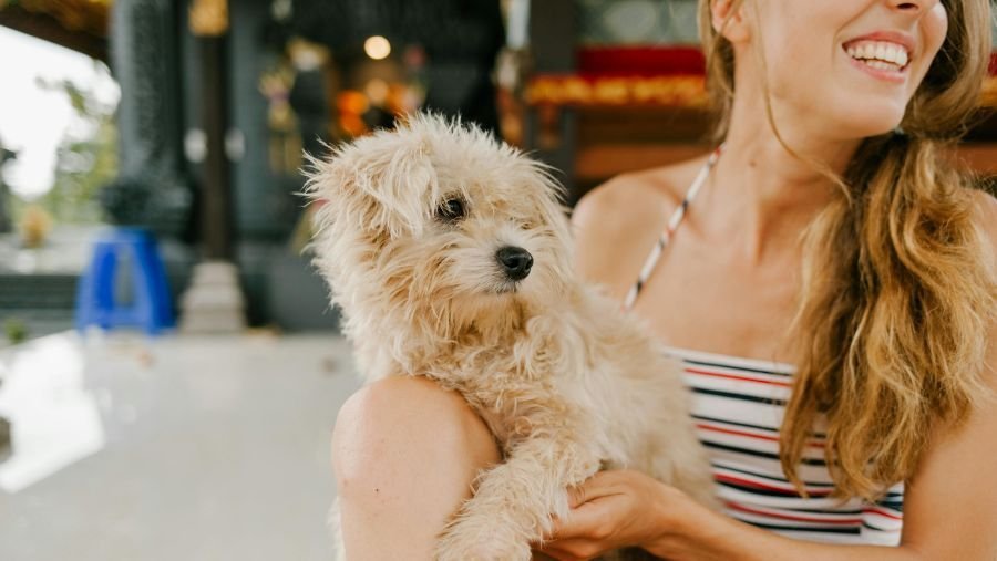 À chaque chien ses vacances idéales