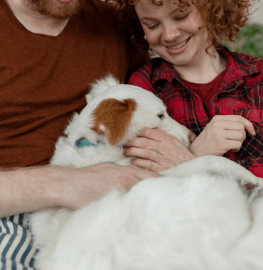 chien peureux en vacances au calme adaptées à ses besoins