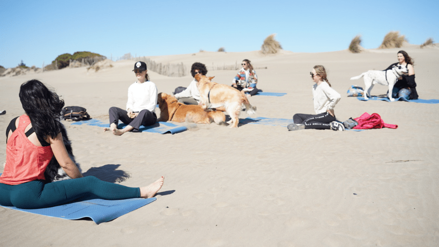 cours de doga ou yoga avec un chien sur la plage dans le sud de la France