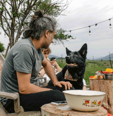 chien adolescent en vacances