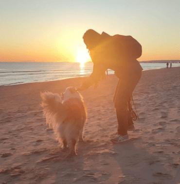 chien et humaine au coucher du soleil sur une plage de Camargue Ă La Grande-Motte