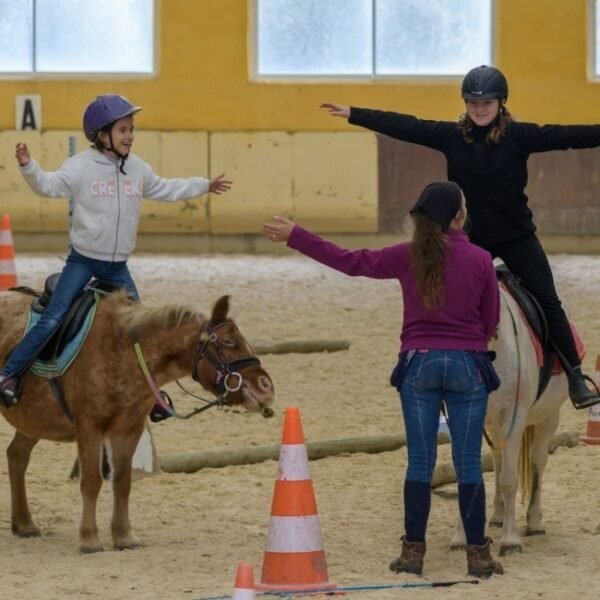 Equitation à Le Nid de l'Étrier des Cabanelles à Valflaunès dans l’Hérault en Occitanie