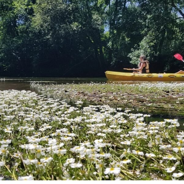 Canoë Ribérac à Villetoureix en Dordogne en Nouvelle-Aquitaine