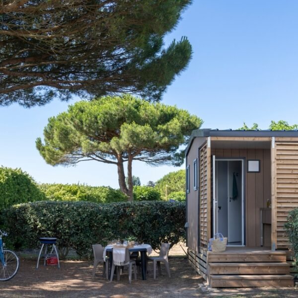 Mobil home avec terrasse au Camping la Plage à Saint-Clément-des-Baleines en Charente-Maritime en Nouvelle-Aquitaine