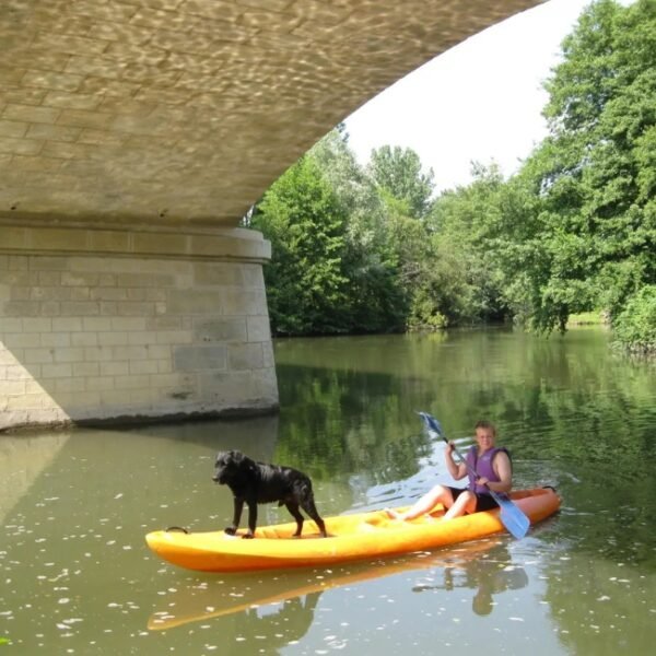 Chiens acceptés au Canoë Ribérac à Villetoureix en Dordogne en Nouvelle-Aquitaine