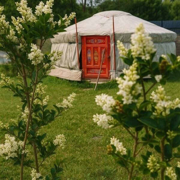 Yourte mongole chez Les Insolites de la Baie, Camping insolite en Normandie près de Le Tréport et Mers les Bains en Baie de Somme