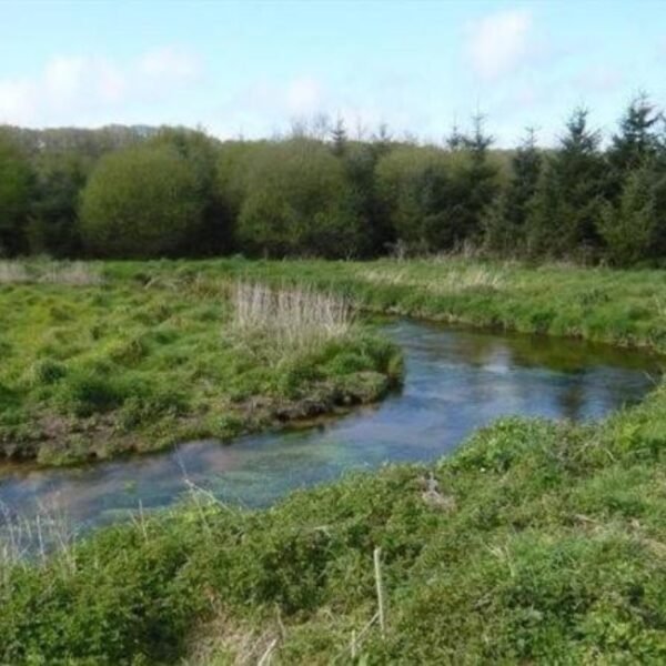 Riviere chez Le Domaine de Lesvaniel à Landudec dans le Finistère en Bretagne