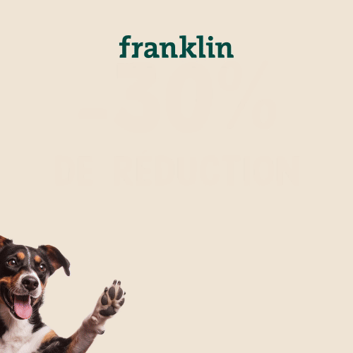 code promo Franklin friandises chien