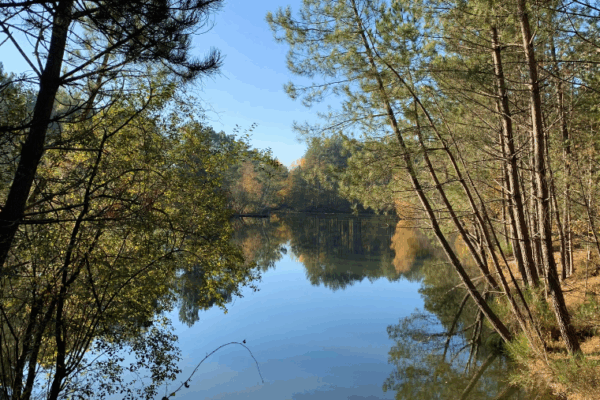 Saint-Quentin (Aisne) : guide vacances avec un chien