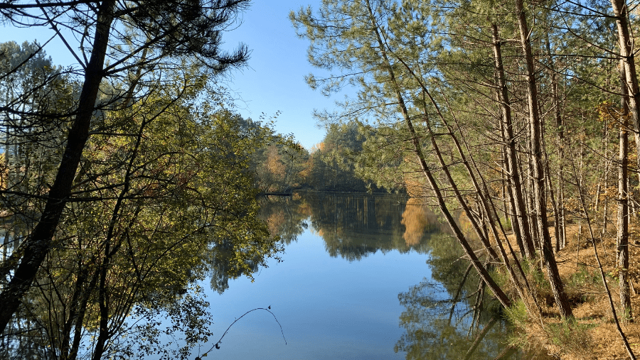 Saint-Quentin (Aisne) : guide vacances avec un chien