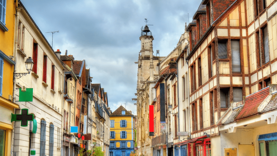 Destination Troyes avec son chien