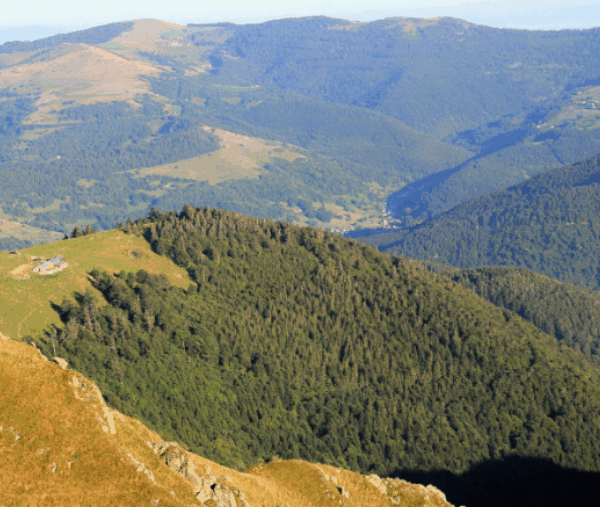 Une vue sur la Vallée de Munster dans le Haut-Rhin.