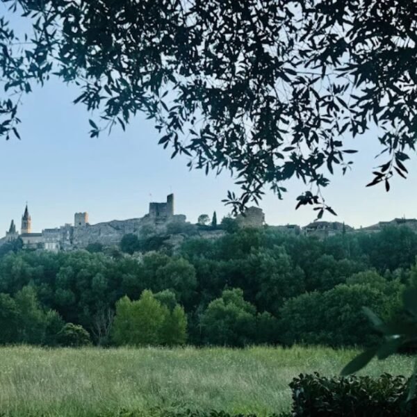 Vue sur le village Saint Martin D'Ardèche depuis le Camping Le Castelas en sud Ardèche proche de Pont Saint Esprit dans le Sud de la France