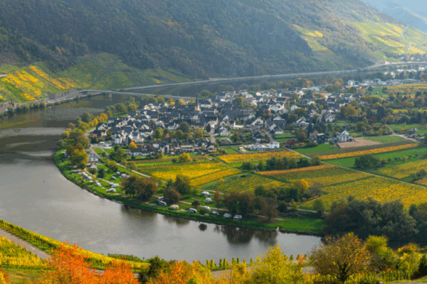 Thionville : une destination en Moselle pour vous et votre chien