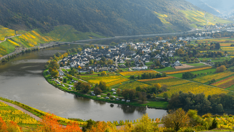 Thionville : une destination en Moselle pour vous et votre chien