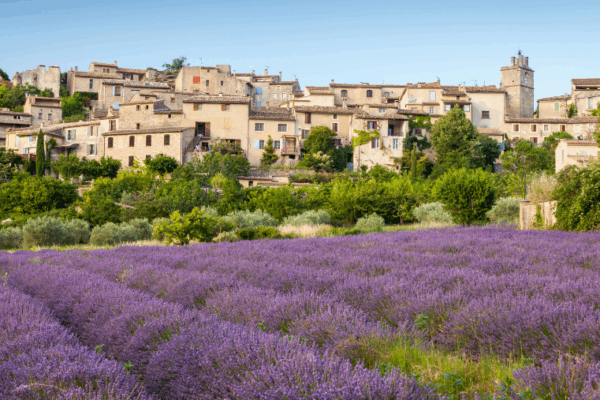 Le Pays de Fayence, un endroit qui a du chien
