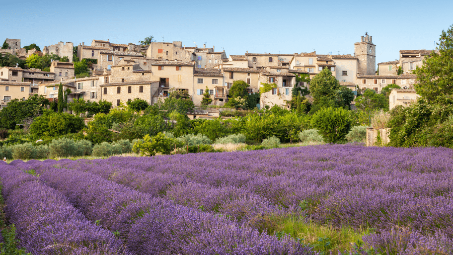 Le Pays de Fayence, un endroit qui a du chien