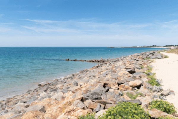 Entre Marais poitevin et les plages de Vendée : adresses dog-friendly