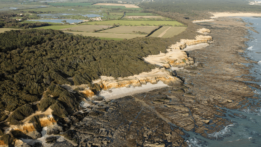 Une vue sur une réserve naturelle en Vendée.