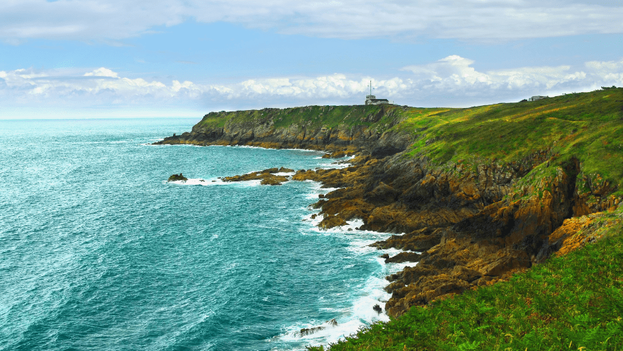 Nord de la Bretagne : le guide pour des vacances inoubliables avec votre chien