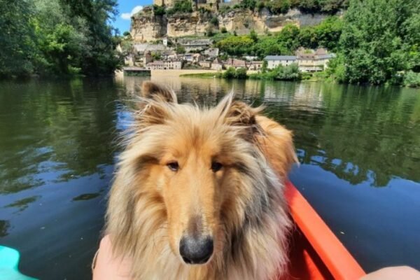 Vacances de dernière minute : bons plans campings été 2025