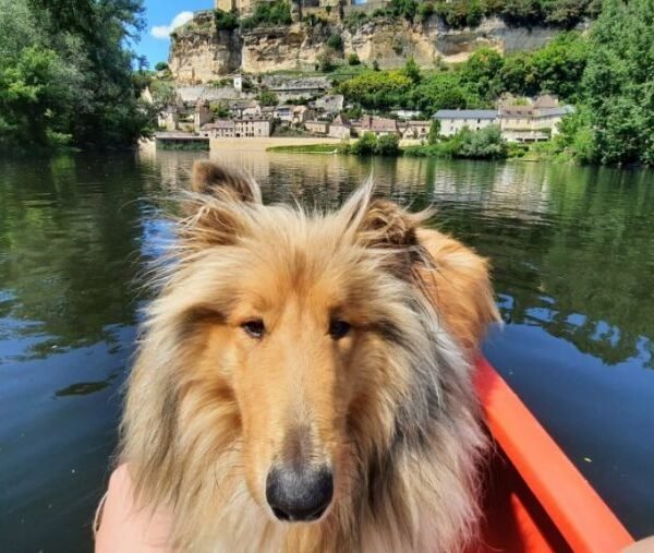 chien camping romanée le capeyrou