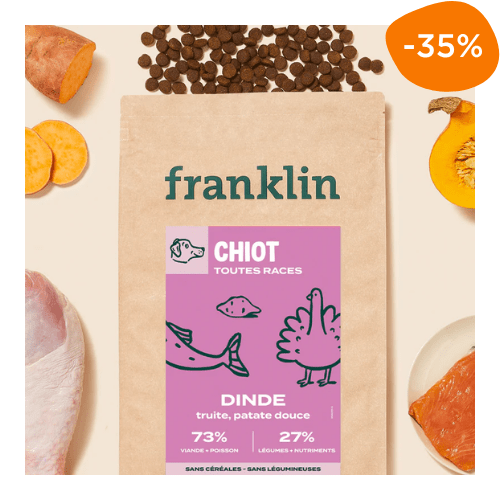 croquette chiot franklin à 30 % de réduction