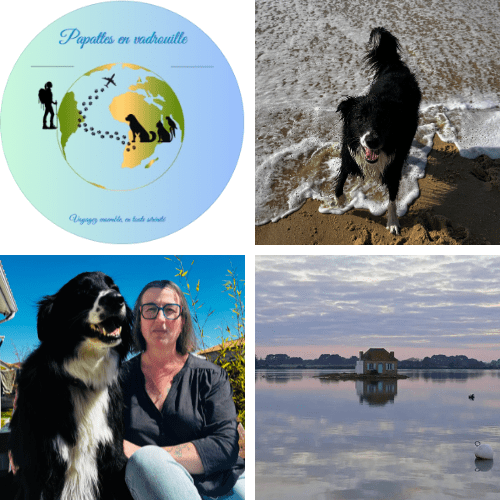 vacances planifiées par une travel planner avec un chien facilement
