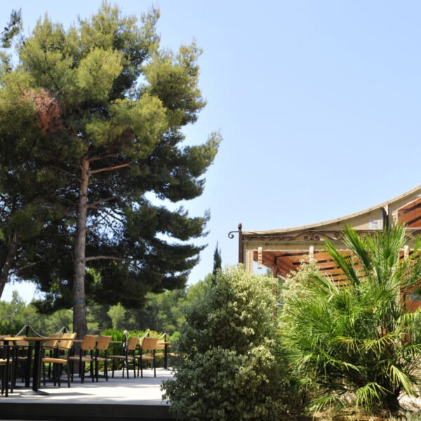 façade est espaces verts du camping AEC vacances les Dauphins