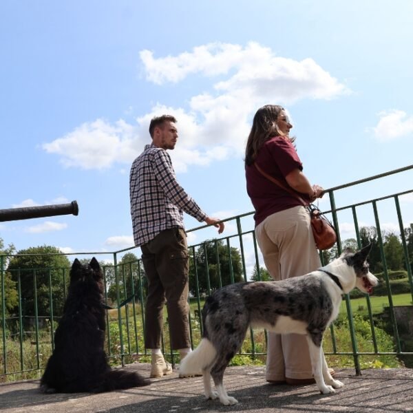 Chiens acceptés à la Citadelle de Doullens près d'Amiens dans la Somme dans les Hauts-de-France