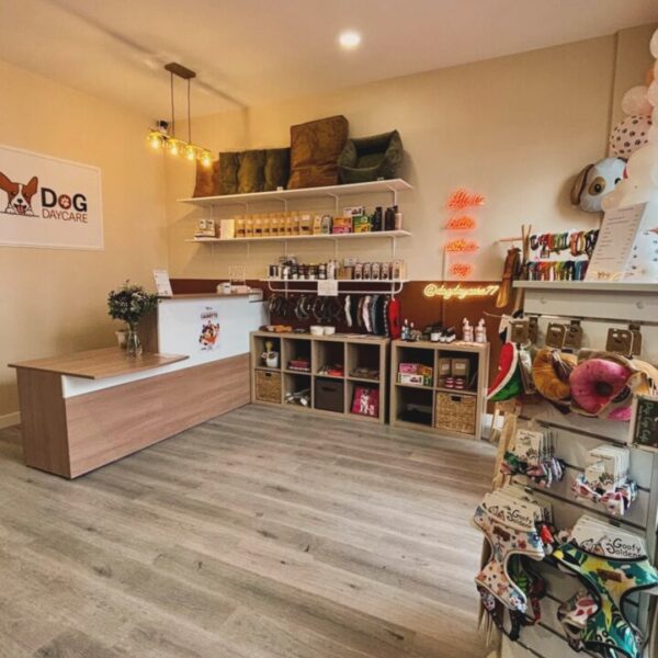 Espace boutique de la Pension Canine Dog Daycare: Garderie Chiens près de Disneyland Paris en Seine et Marne