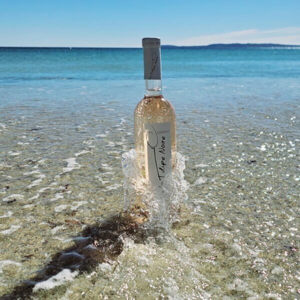 Bouteille de vin dans l'eau à la plage, du Domaine du Gîte Le Platane à Cuers dans le Var en Provence
